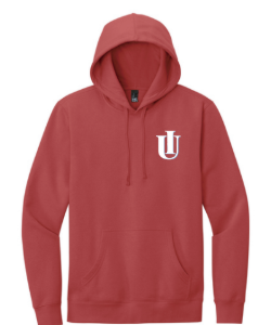 District V.I.T Hoodie